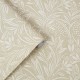 Graham & Brown | Barley