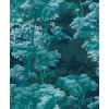 Graham & Brown | Bobart's Garden
