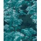 Graham & Brown | Bobart's Garden