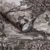 Graham & Brown | Bodenham  Wallpaper