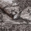 Graham & Brown | Bodenham  Wallpaper