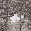 Graham & Brown | Bodenham  Wallpaper