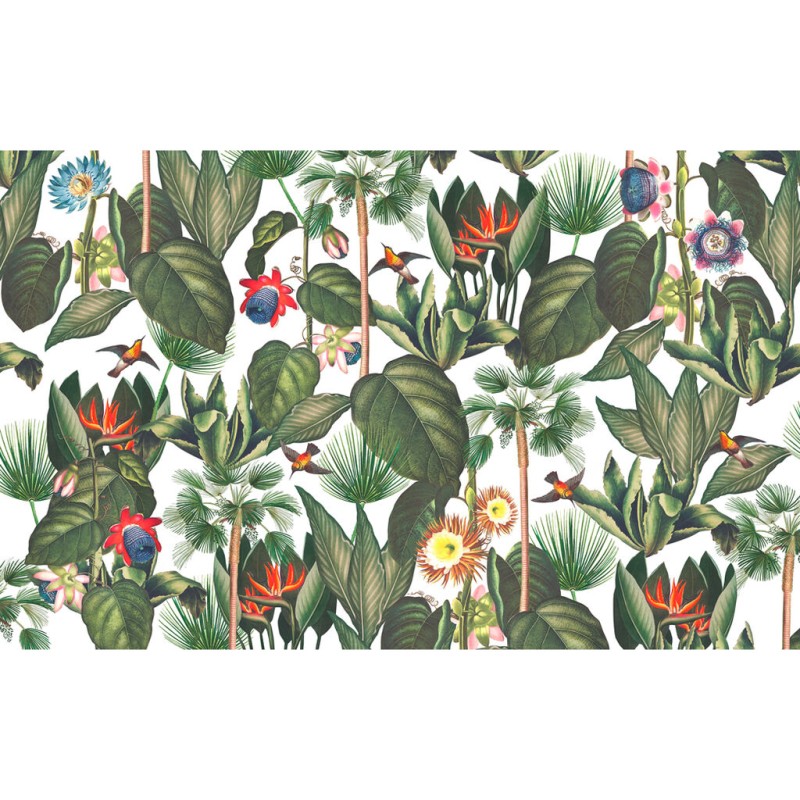 Graham & Brown | Botanique Jungle