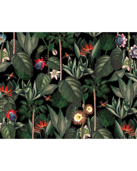 Graham & Brown | Botanique Jungle