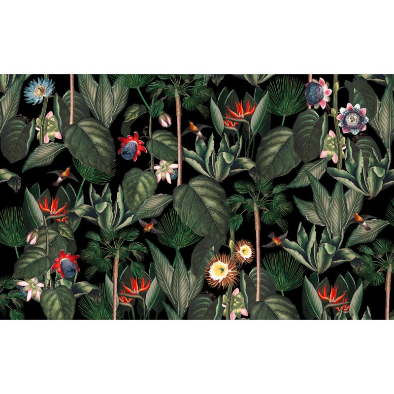 Graham & Brown | Botanique Jungle