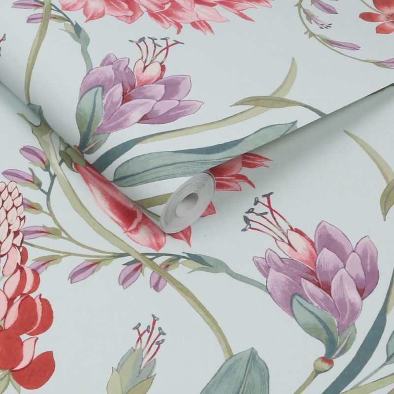 Graham & Brown | Botanist's Scroll Wallpaper