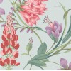 Graham & Brown | Botanist's Scroll Wallpaper