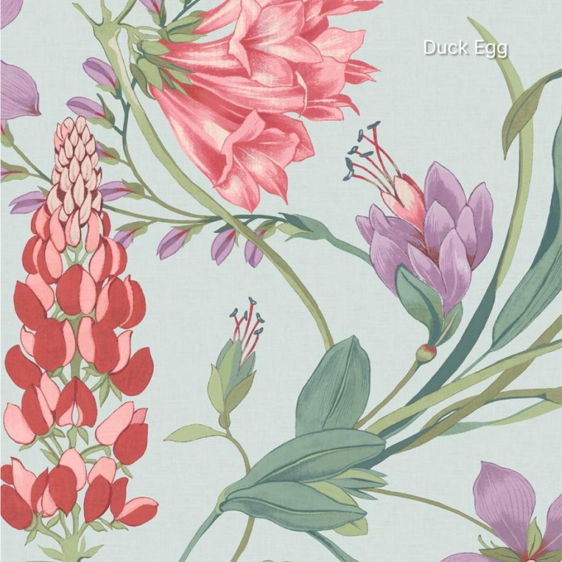 Graham & Brown | Botanist's Scroll Wallpaper