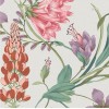 Graham & Brown | Botanist's Scroll Wallpaper