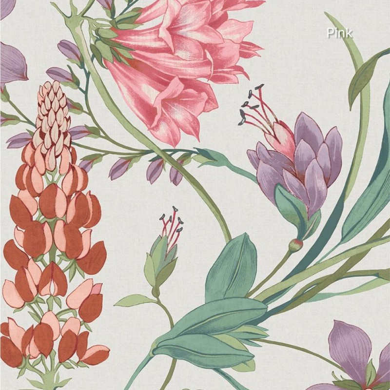 Graham & Brown | Botanist's Scroll Wallpaper