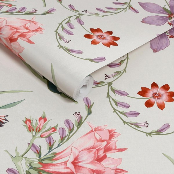 Graham & Brown | Botanist's Scroll Pink Wallpaper | 130296
