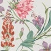 Graham & Brown | Botanist's Scroll Pink Wallpaper | 130296