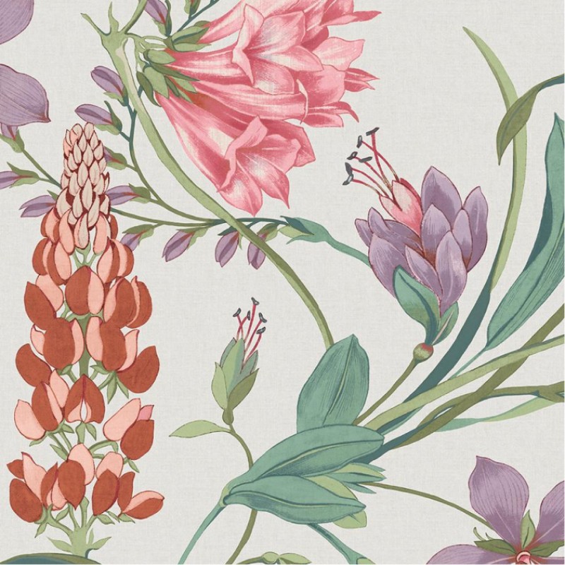 Graham & Brown | Botanist's Scroll Pink Wallpaper | 130296