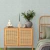 Graham & Brown | Caress Texture