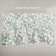 Graham & Brown | Chinoiserie