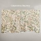 Graham & Brown | Chinoiserie