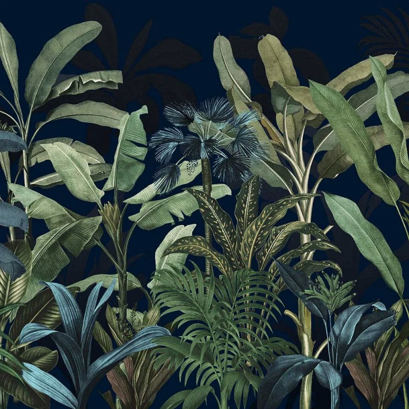 Graham & Brown |  Congo