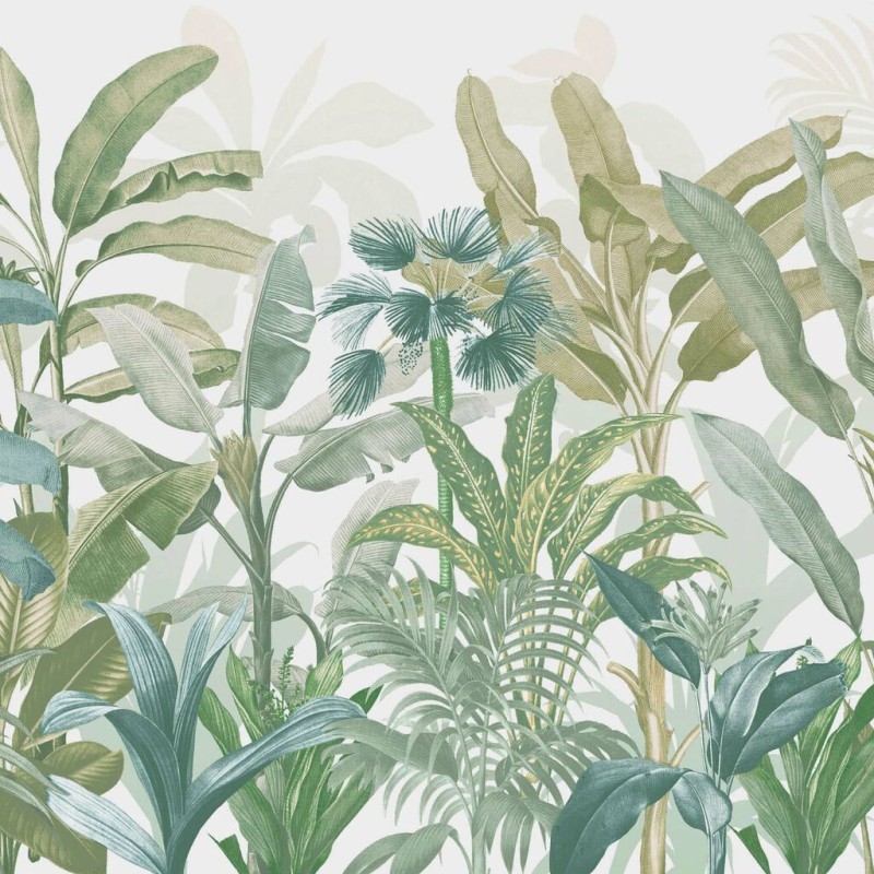 Graham & Brown |  Congo