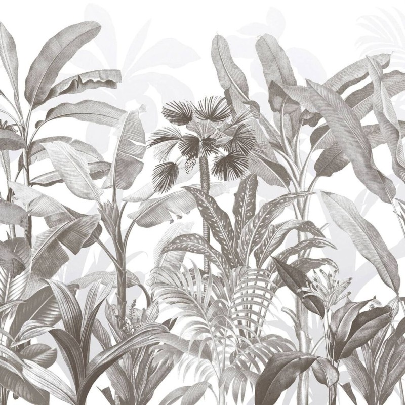 Graham & Brown |  Congo