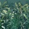 Graham & Brown |  Congo