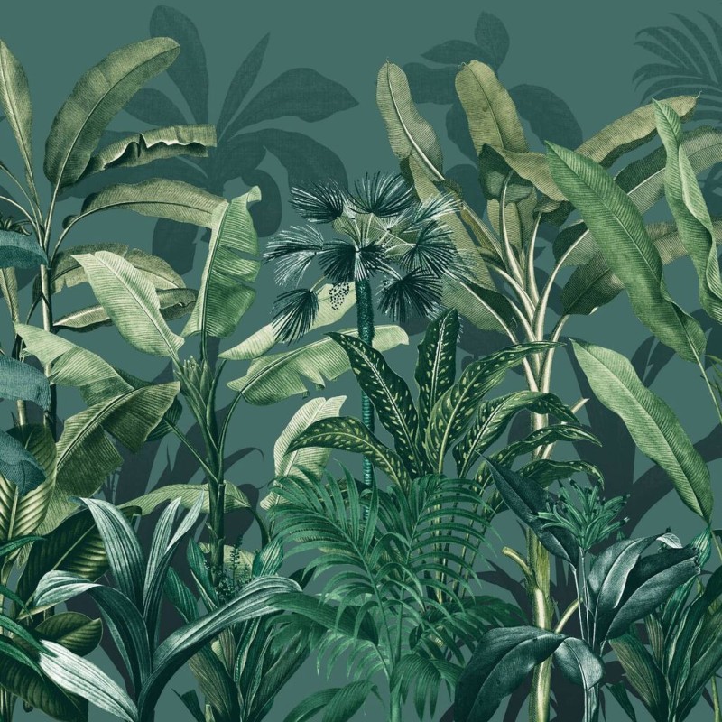Graham & Brown |  Congo