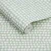 Graham & Brown | Dots