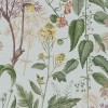 Graham & Brown | Edulis Wallpaper
