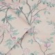 Graham & Brown | Eglantine