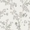 Graham & Brown | Forsythia