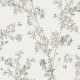 Graham & Brown | Forsythia