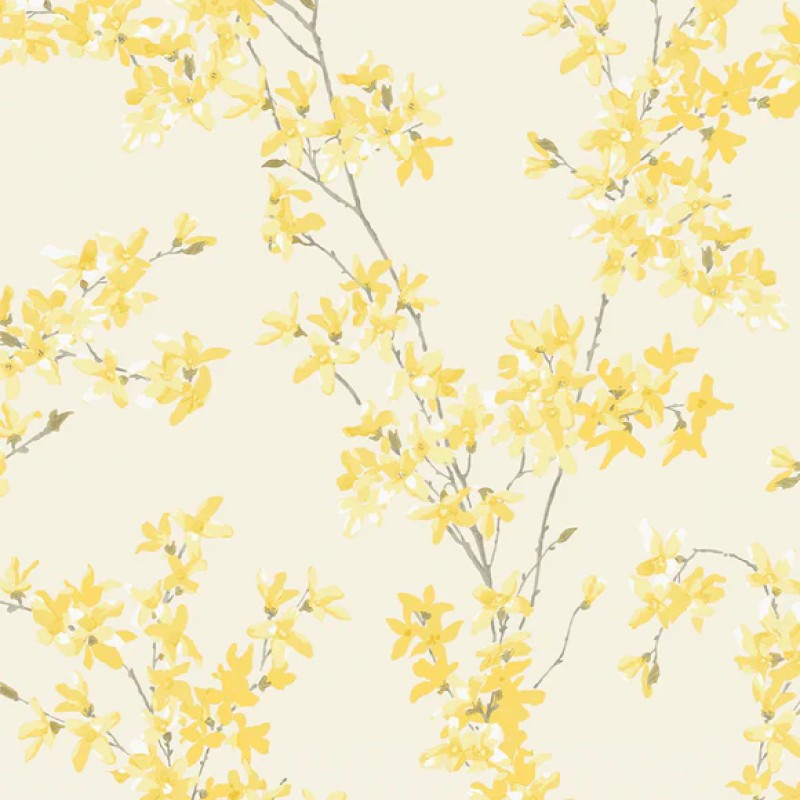 Graham & Brown | Forsythia