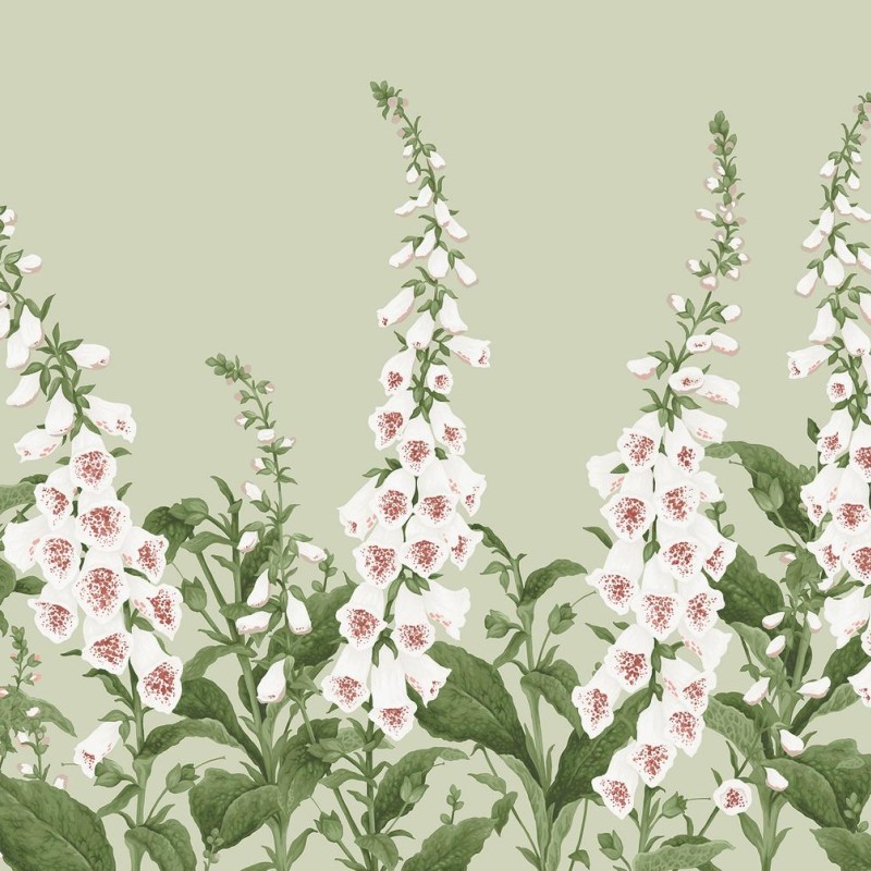 Graham & Brown | Foxglove Bespoke Mural
