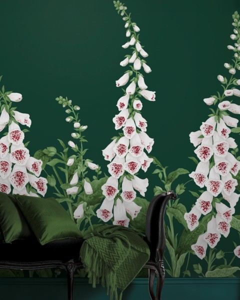 Graham & Brown | Foxglove Bespoke Mural