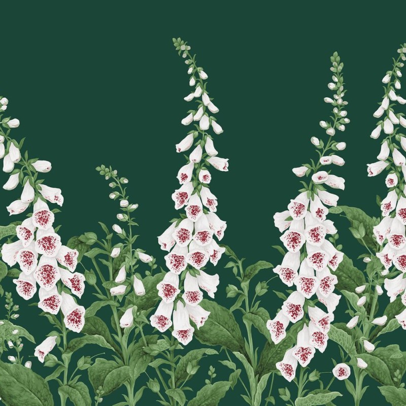 Graham & Brown | Foxglove Bespoke Mural