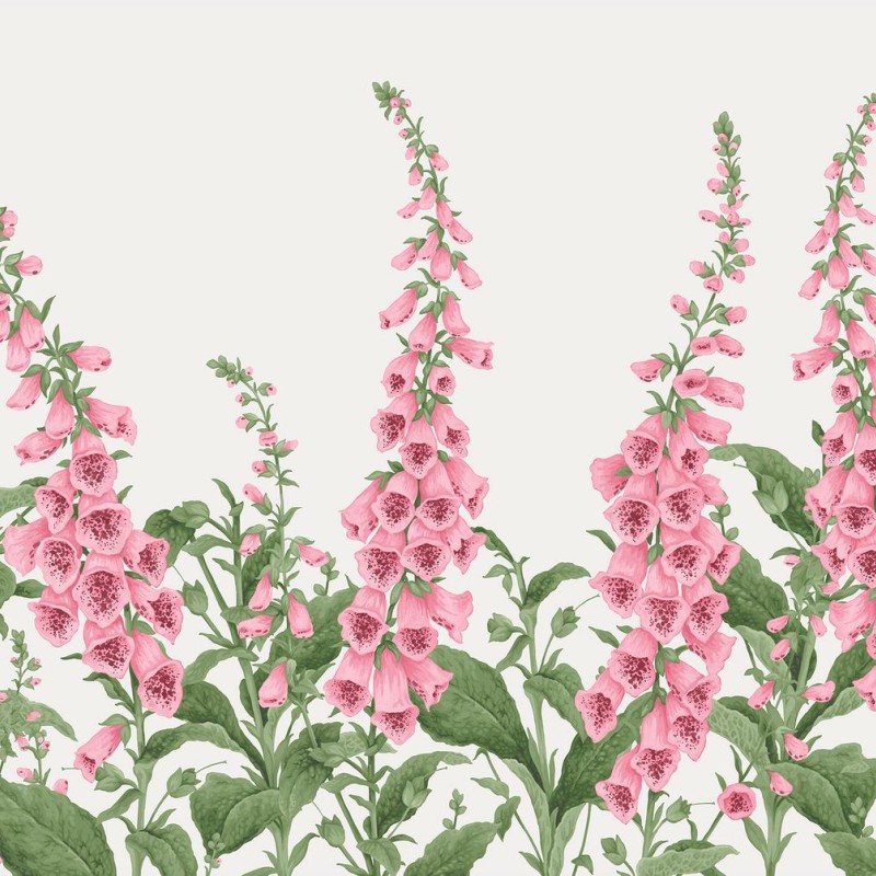 Graham & Brown | Foxglove Bespoke Mural