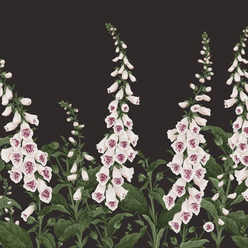 Graham & Brown | Foxglove Bespoke Mural