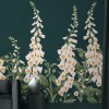 Graham & Brown | Foxglove Bespoke Mural