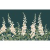 Graham & Brown | Foxglove Bespoke Mural