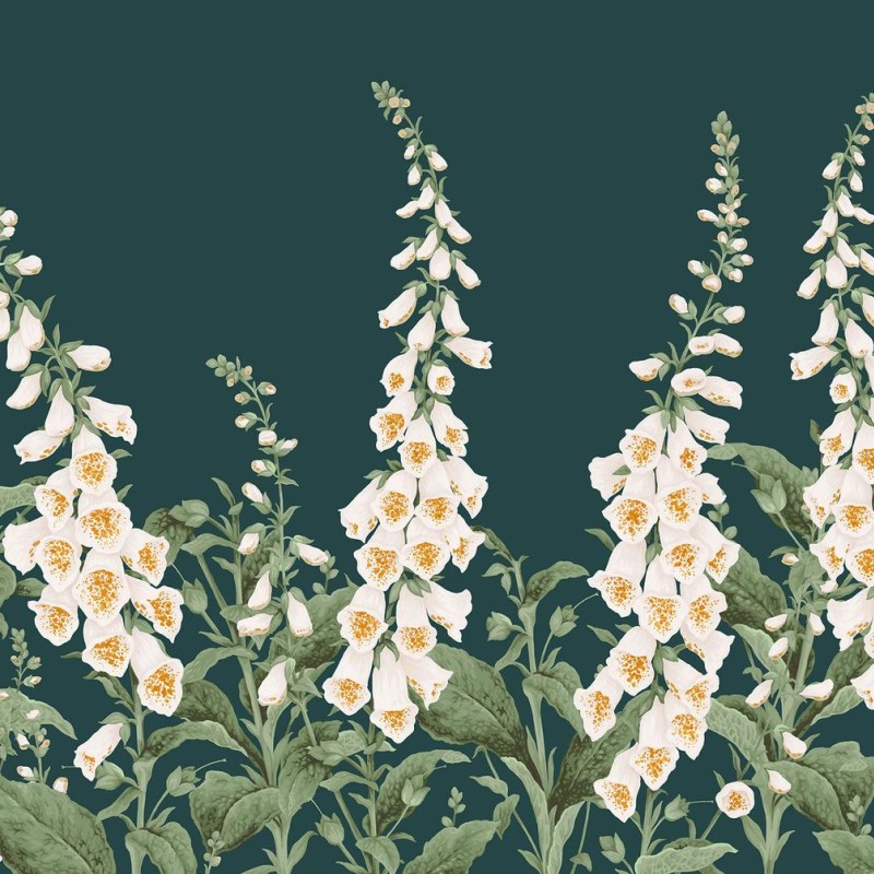 Graham & Brown | Foxglove Bespoke Mural