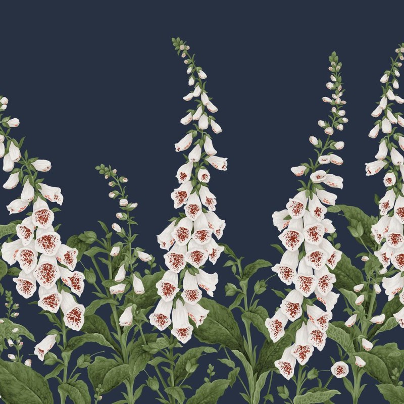 Graham & Brown | Foxglove Bespoke Mural