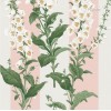 Graham & Brown | Foxglove Stripe Wallpaper