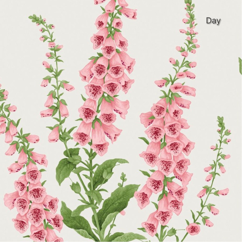 Graham & Brown | Foxglove Wallpaper