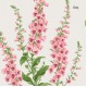 Graham & Brown | Foxglove Wallpaper