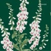 Graham & Brown | Foxglove Wallpaper