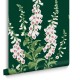 Graham & Brown | Foxglove Wallpaper