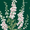 Graham & Brown | Foxglove Wallpaper