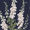 Graham & Brown | Foxglove Wallpaper