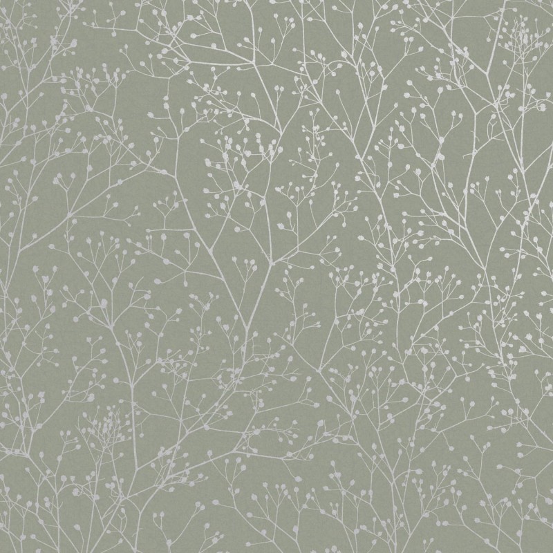 Graham & Brown | Gypsophila Wallpaper