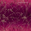 Graham & Brown | Meadow Grass Wallpaper