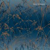 Graham & Brown | Meadow Grass Wallpaper